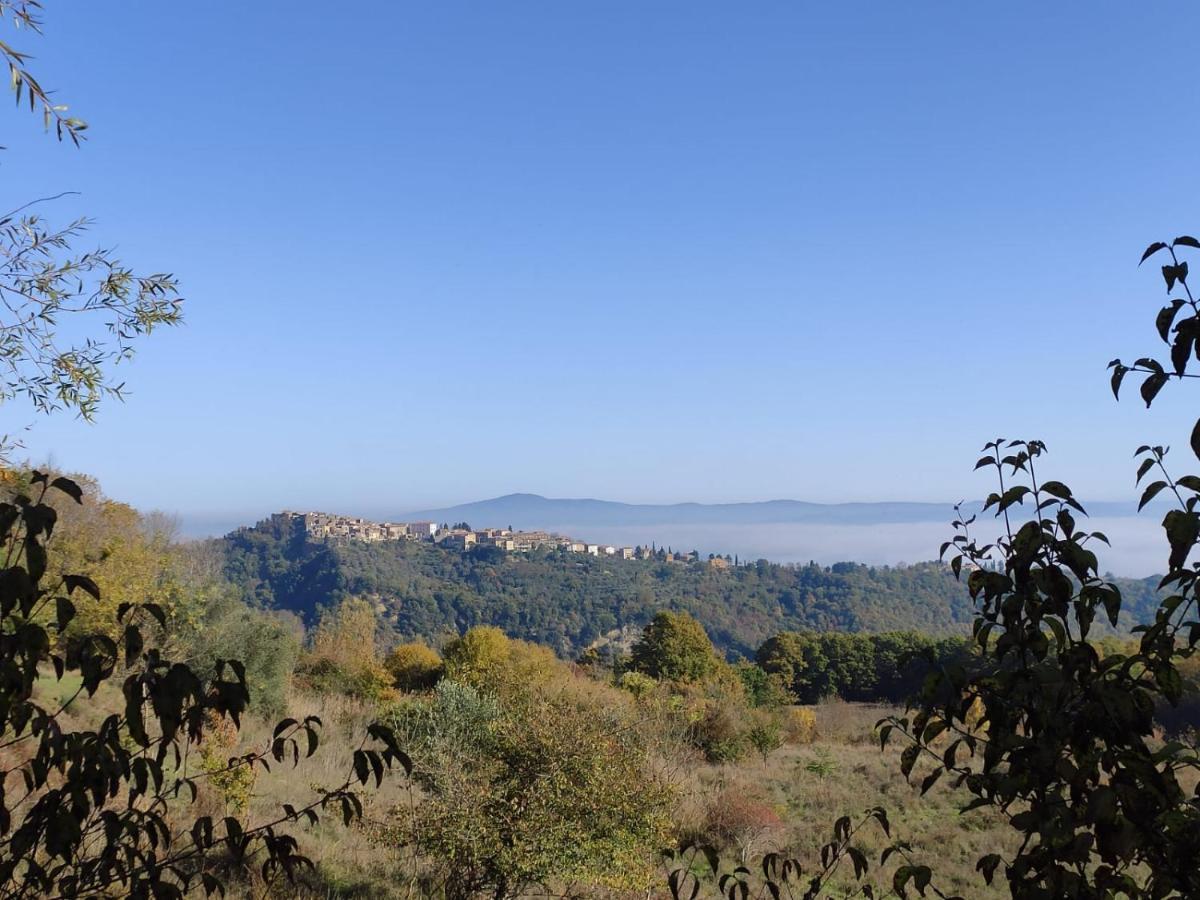 Casetta Edera * Allerona